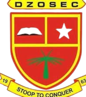 dzosec_crest-removebg-preview dzosec_crest-removebg-preview
